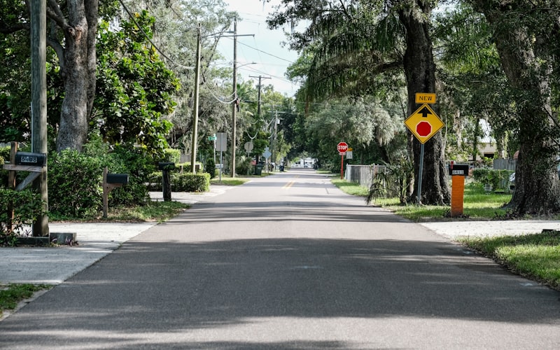 Tree-lined residential street in Helotes Texas area